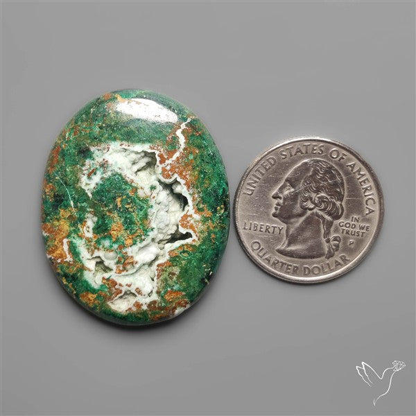 Parrot Wing Chrysocolla Cabochon