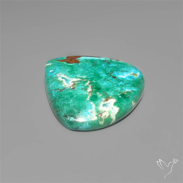 Parrot Wing Chrysocolla Cabochon