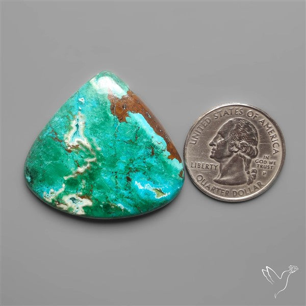 Parrot Wing Chrysocolla Cabochon