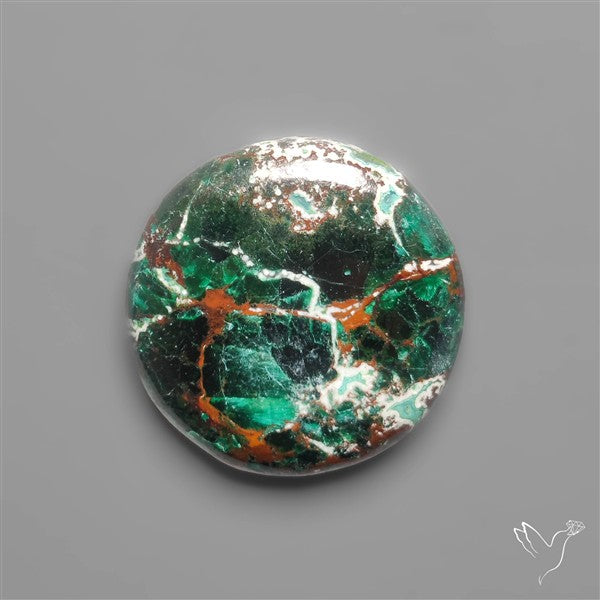 Parrot Wing Chrysocolla Cabochon