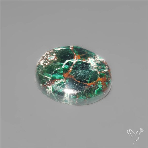 Parrot Wing Chrysocolla Cabochon