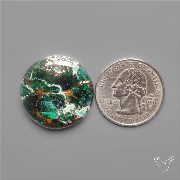 Parrot Wing Chrysocolla Cabochon