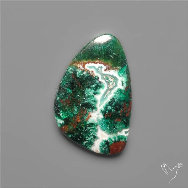 Parrot Wing Chrysocolla Cabochon