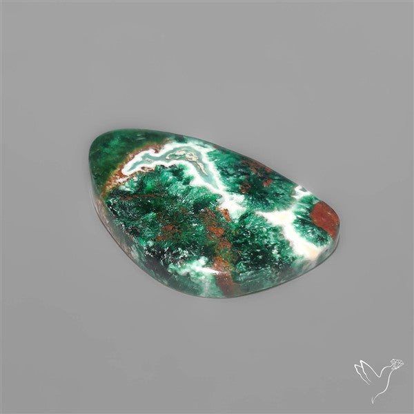 Parrot Wing Chrysocolla Cabochon