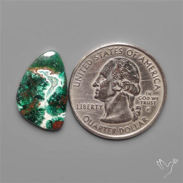 Parrot Wing Chrysocolla Cabochon