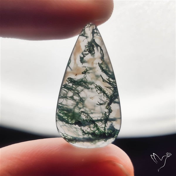 Moss Agate Cabochon