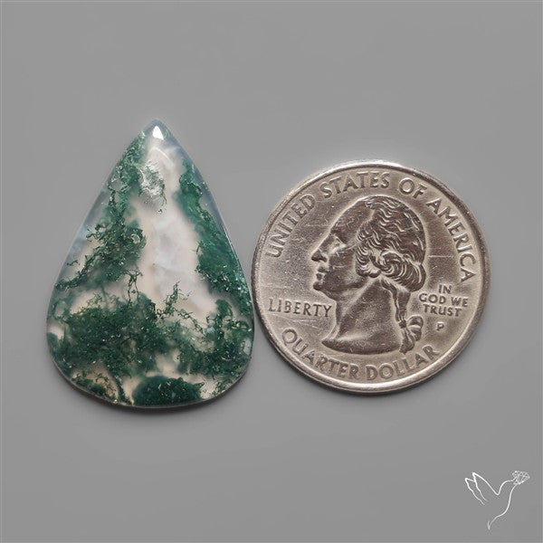 Moss Agate Cabochon