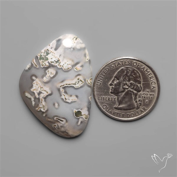 White Horse Canyon Moss Agate Cabochon