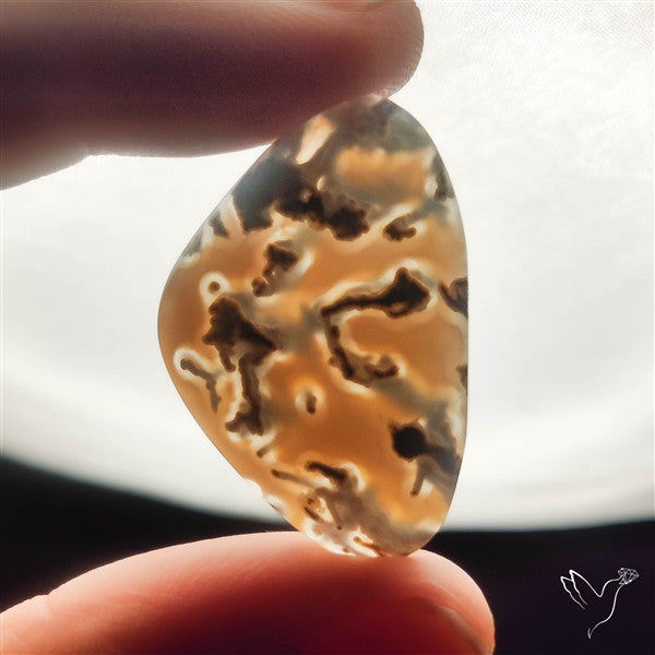 White Horse Canyon Moss Agate Cabochon