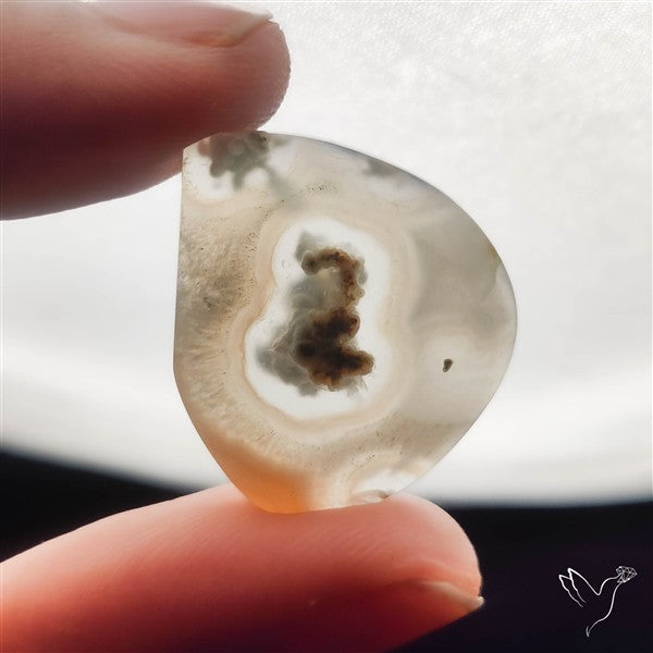 White Horse Canyon Moss Agate Cabochon