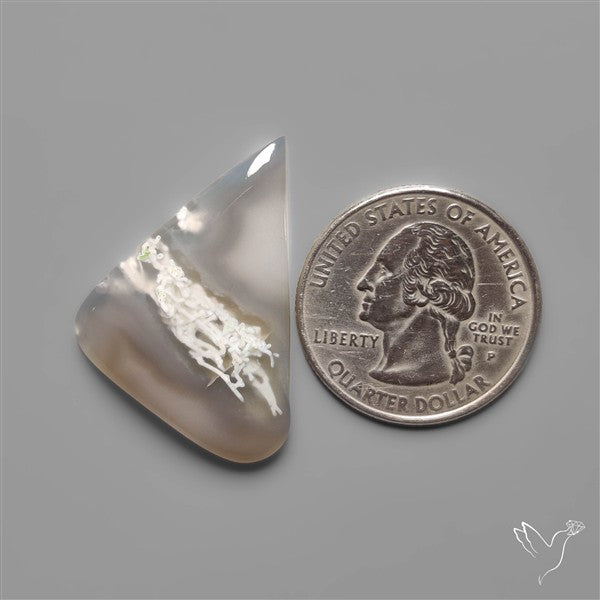 White Horse Canyon Moss Agate Cabochon