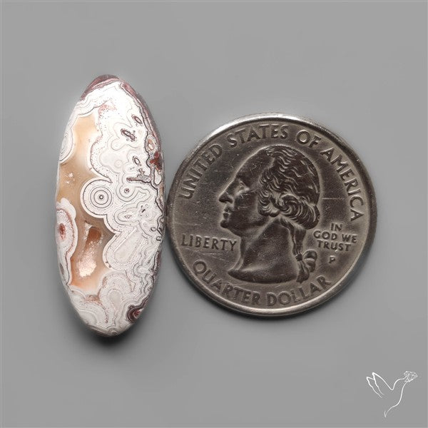 Laguna Lace Agate Cabochon