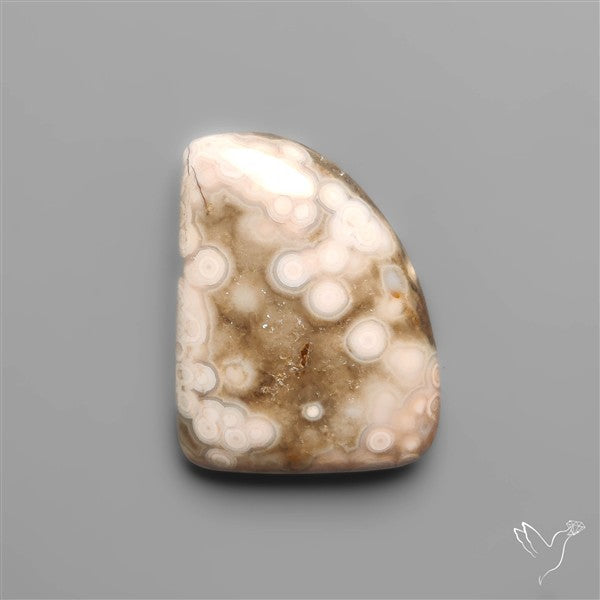 Orbicular Ocean Jasper Cabochon