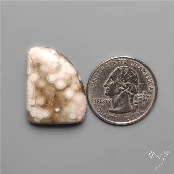 Orbicular Ocean Jasper Cabochon
