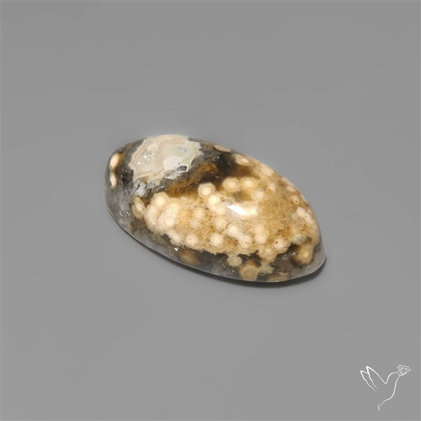 Orbicular Ocean Jasper Cabochon