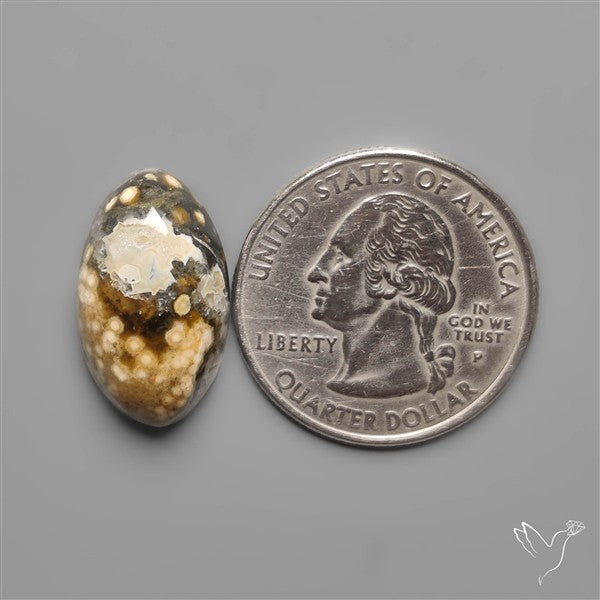 Orbicular Ocean Jasper Cabochon