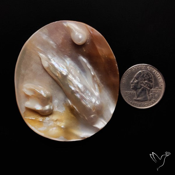 Blister Pearl Specimen