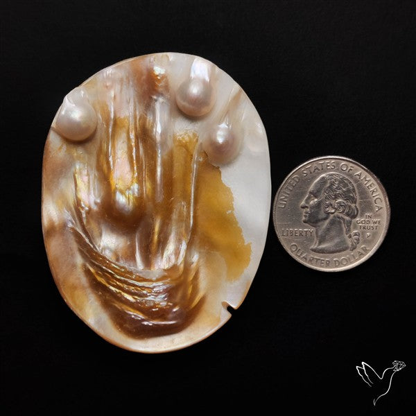 Blister Pearl Specimen