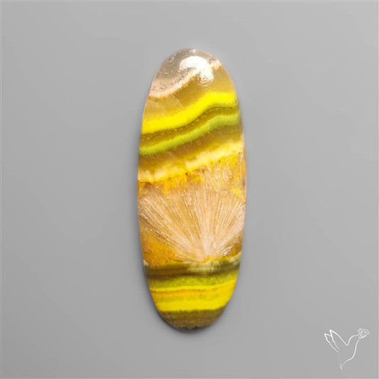 Bumble Bee Jasper