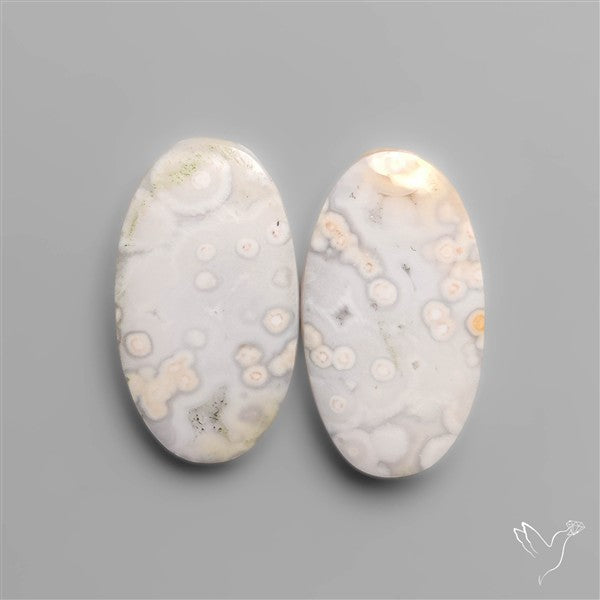 Orbicular Ocean Jaspers Pair