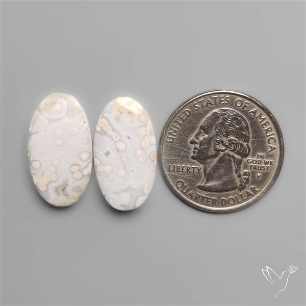 Orbicular Ocean Jaspers Pair