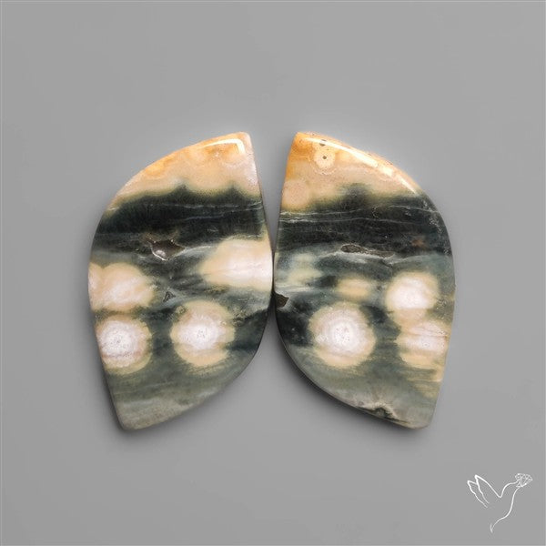 Orbicular Ocean Jaspers Pair