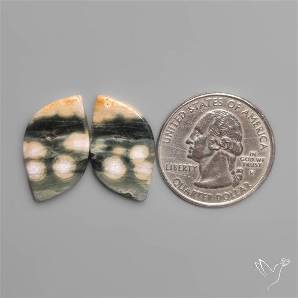 Orbicular Ocean Jaspers Pair