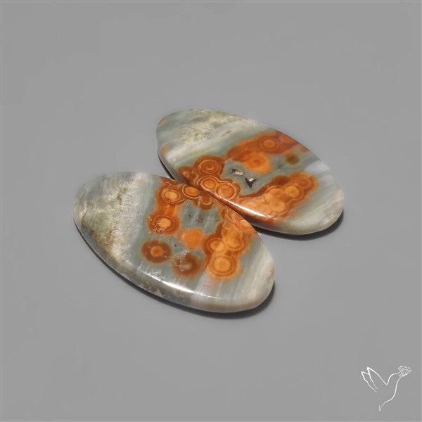 Orbicular Ocean Jaspers Pair