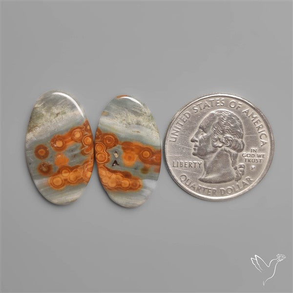 Orbicular Ocean Jaspers Pair