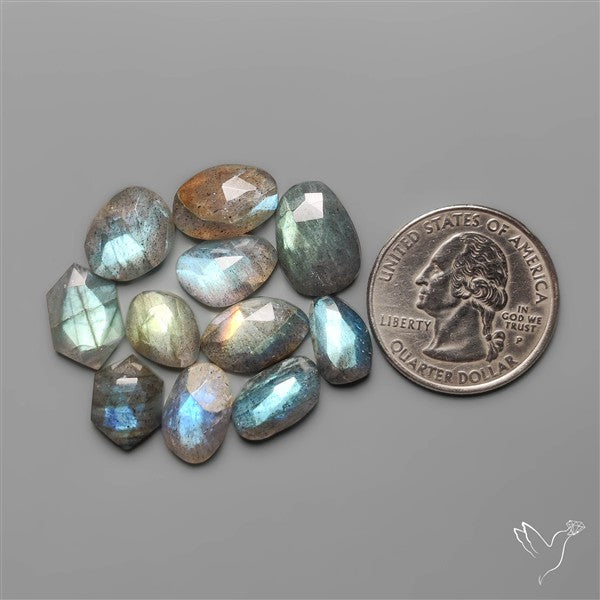 Rose Cut Labradorites Lot