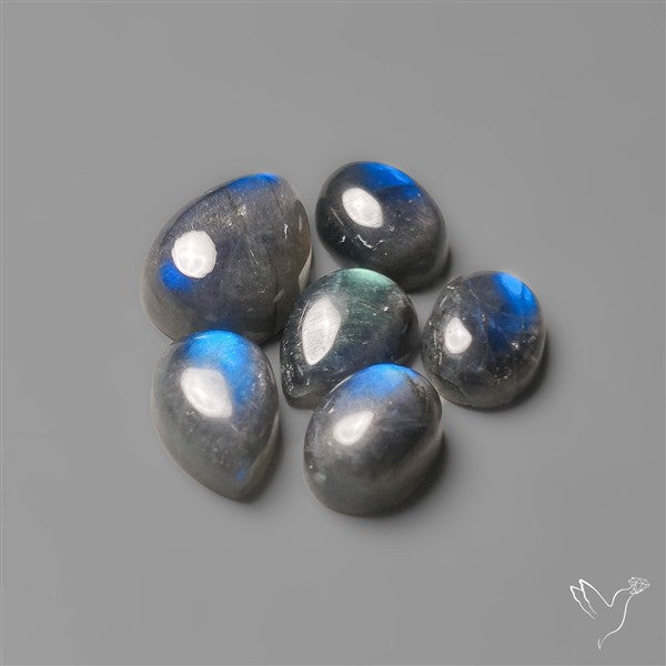 Blue Spectrolite Lot