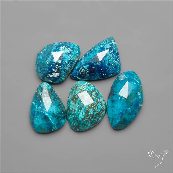 Rose Cut Shattuckites Lot