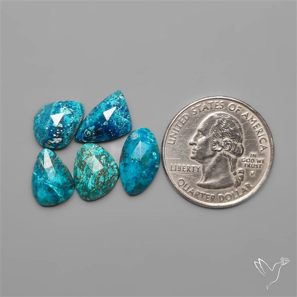 Rose Cut Shattuckites Lot