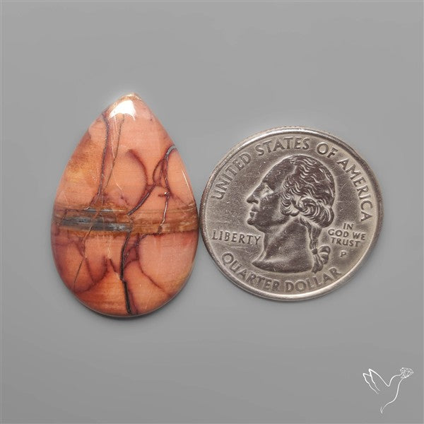 Butterfly Jasper Cabochon