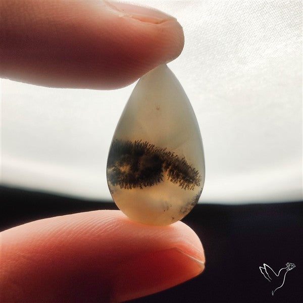 Dendritic Agate Cabochon