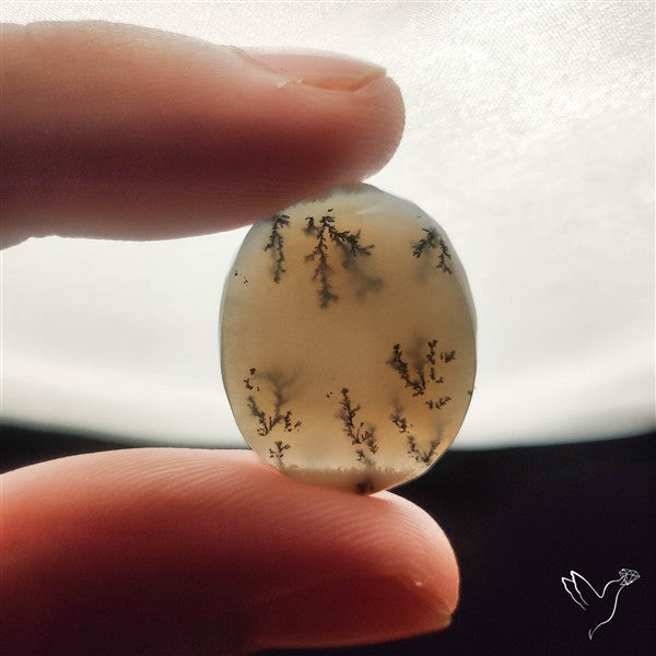 Dendritic Agate Cabochon