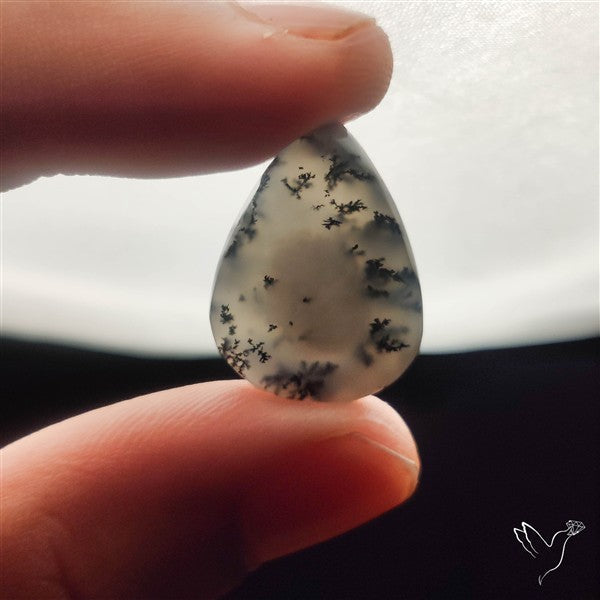 Dendritic Agate Cabochon