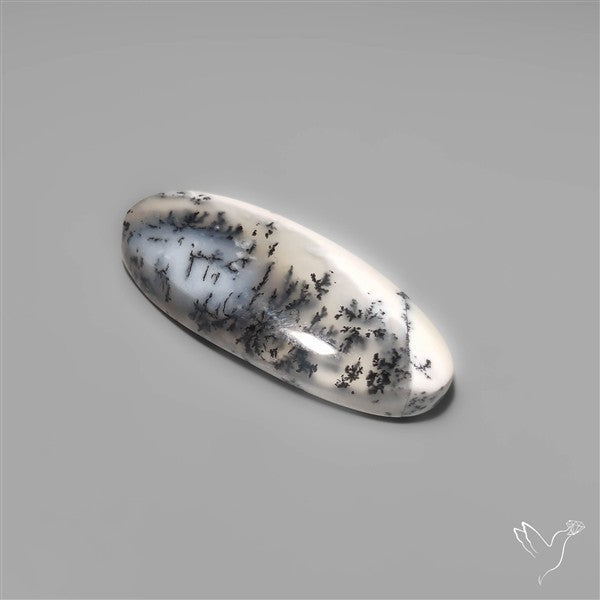 Dendritic Agate Cabochon