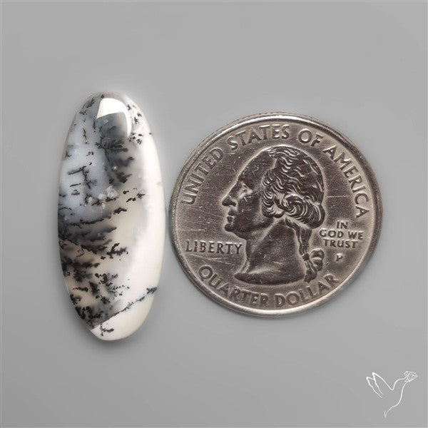 Dendritic Agate Cabochon