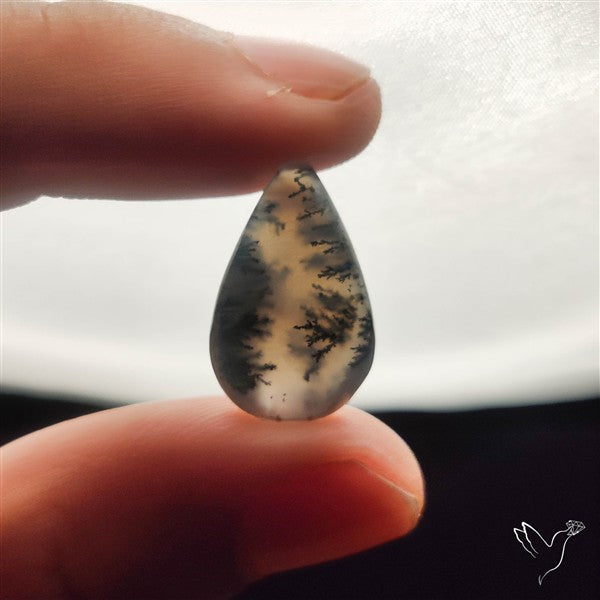 Dendritic Agate Cabochon