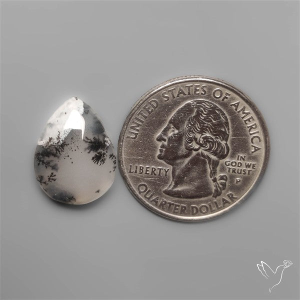 Dendritic Agate Cabochon