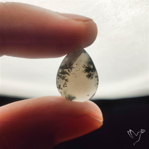 Dendritic Agate Cabochon