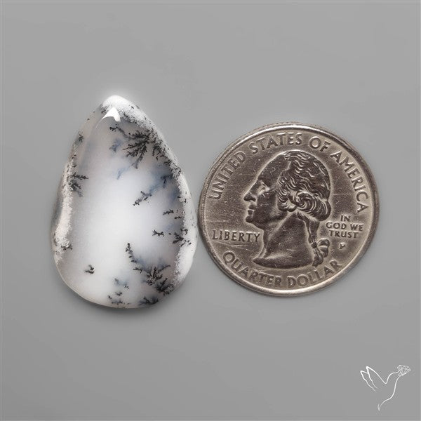 Dendritic Agate Cabochon