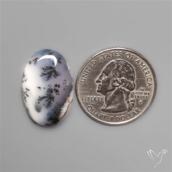 Dendritic Agate Cabochon