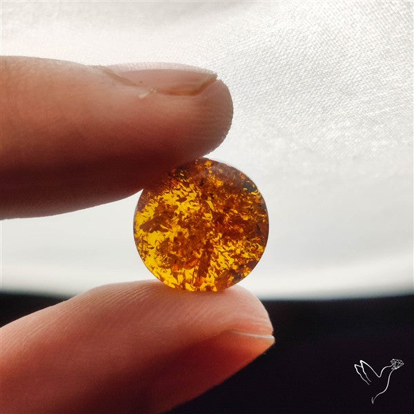 Baltic Amber Cabochon
