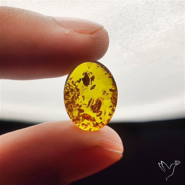 Baltic Amber Cabochon