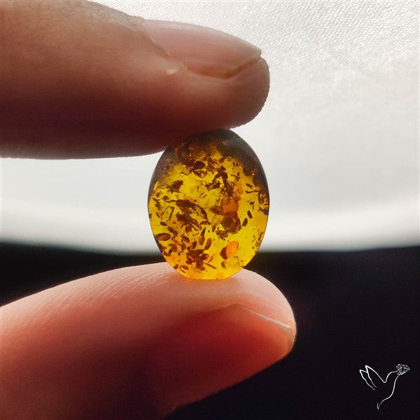 Baltic Amber Cabochon