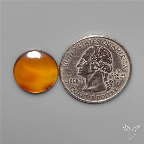 Baltic Amber Cabochon