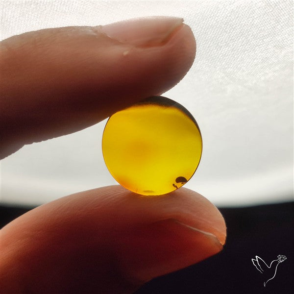 Baltic Amber Cabochon