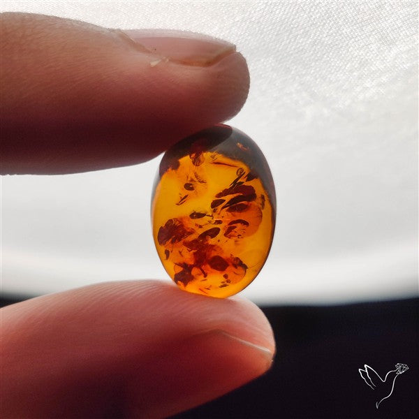 Baltic Amber Cabochon